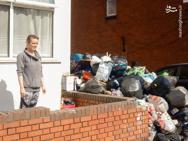 جولان موشهایی به بزرگی گربه در انگلیس!