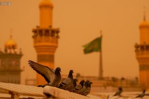 حرم امیرالمومنین ایستاده در غبار