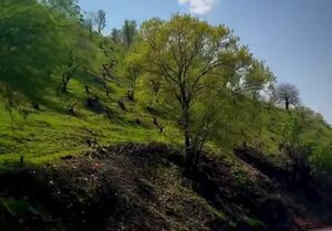 فیلم/ طبیعت چشم نواز بهاری پاوه