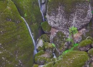 مخمل‌کوه بارانی+ فیلم