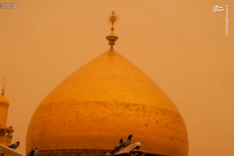 فیلم/ حرم امیرالمومنین ایستاده در غبار