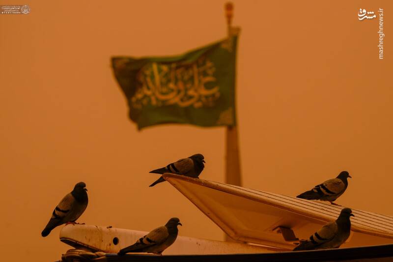 فیلم/ حرم امیرالمومنین ایستاده در غبار