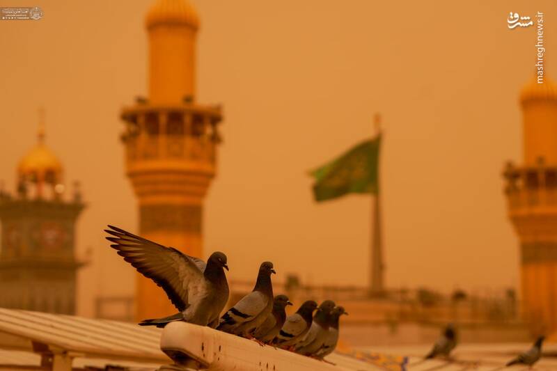 فیلم/ حرم امیرالمومنین ایستاده در غبار