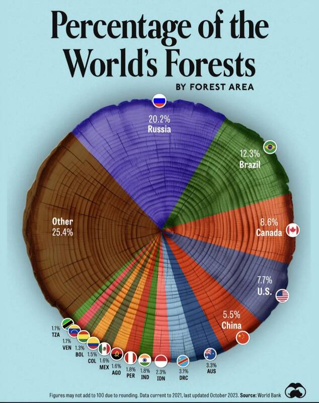 سهم کشورها از مناطق جنگلی در جهان چقدر است؟