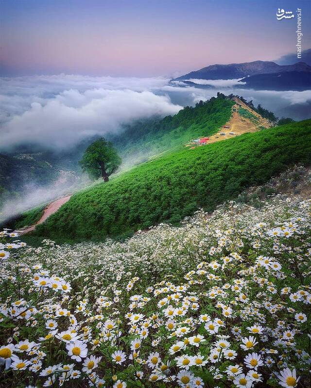 زیبایی خارق العاده ارتفاعات ماسال به روایت تصویر