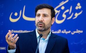 طحان نظیف : شورای نگهبان تنها به CFT ایراد وارد کرده است