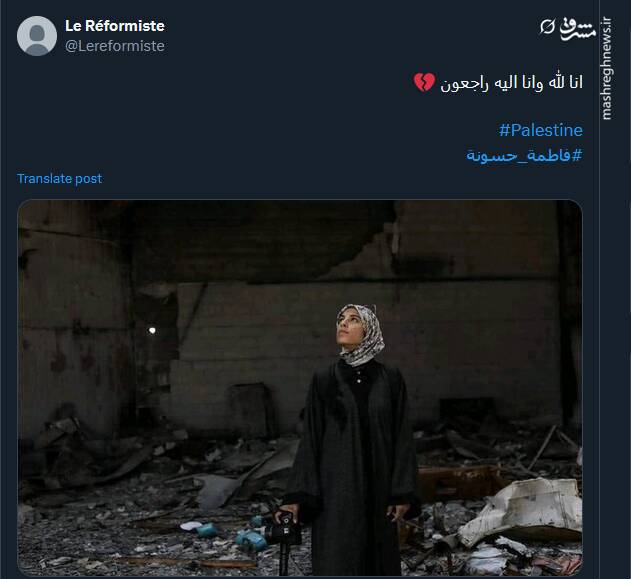 واکنش کاربران نسبت به شهادت فاطمه حسونه