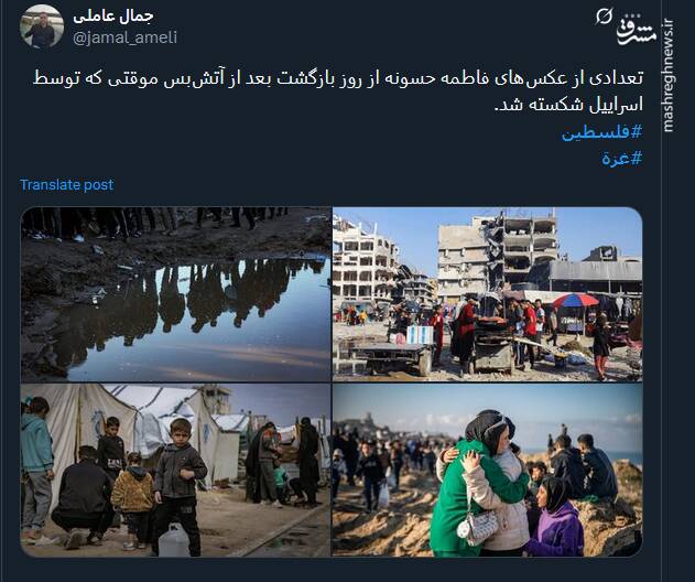 واکنش کاربران نسبت به شهادت فاطمه حسونه