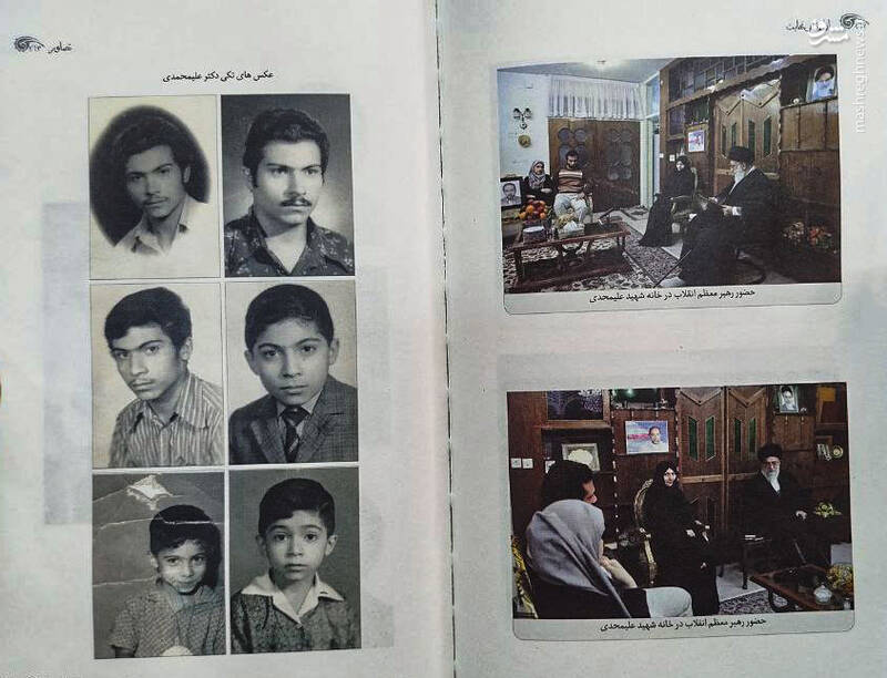 فحش و فضیحت به دولت در کنار مزار دانشمند هستهای!