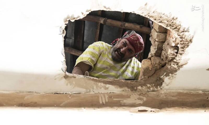 همه ما «نقی معمولی» هستیم؟