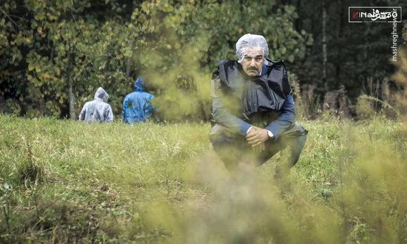 همه ما «نقی معمولی» هستیم؟