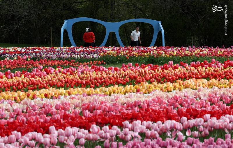 انگلستان انگلستان