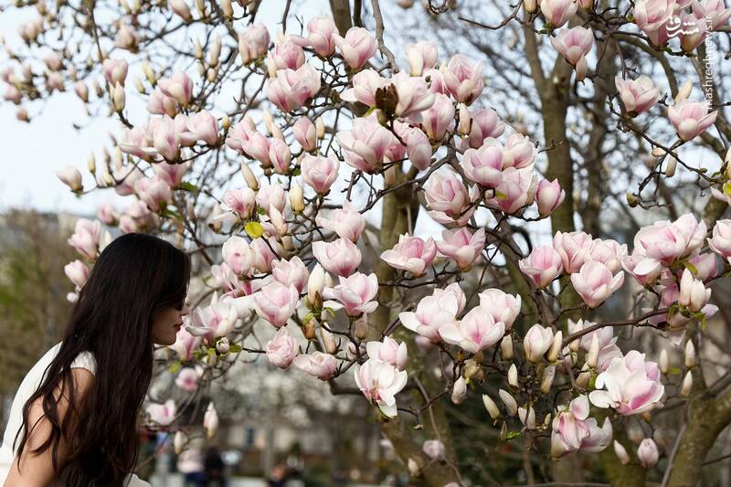 پاریس _ فرانسه پاریس _ فرانسه