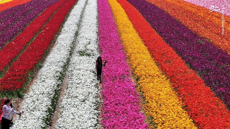 مرز بین سرزمینهای اشغالی و غزه مرز بین سرزمینهای اشغالی و غزه