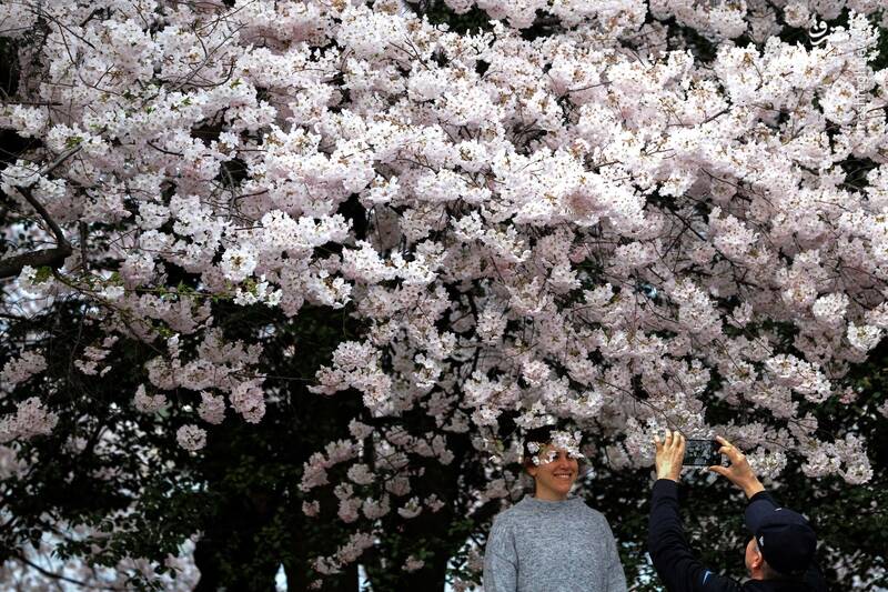 واشنگتن _ آمریکا واشنگتن _ آمریکا