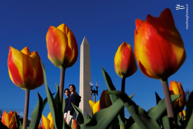 واشنگتن _ آمریکا واشنگتن _ آمریکا