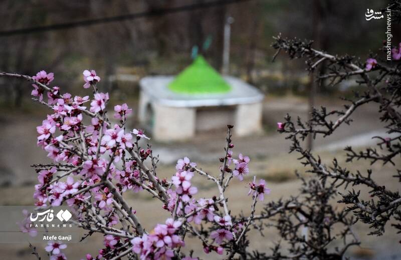روستای ارژن _ چهارمحال و بختیاری _ ایران روستای ارژن _ چهارمحال و بختیاری _ ایران