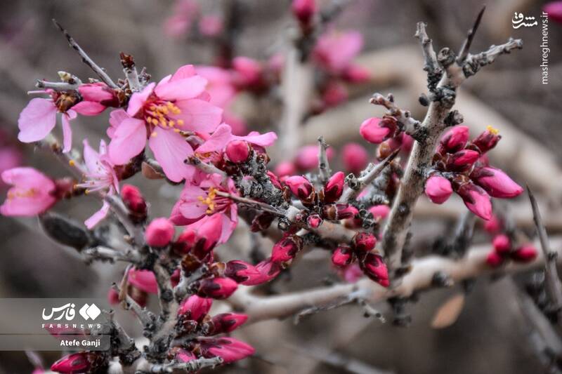 روستای ارژن _ چهارمحال و بختیاری _ ایران روستای ارژن _ چهارمحال و بختیاری _ ایران