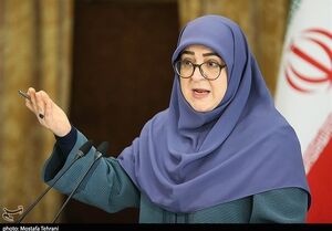 زیرساختها برای سرمایه‌گذاری آمریکایی‌ها در ایران فراهم نیست