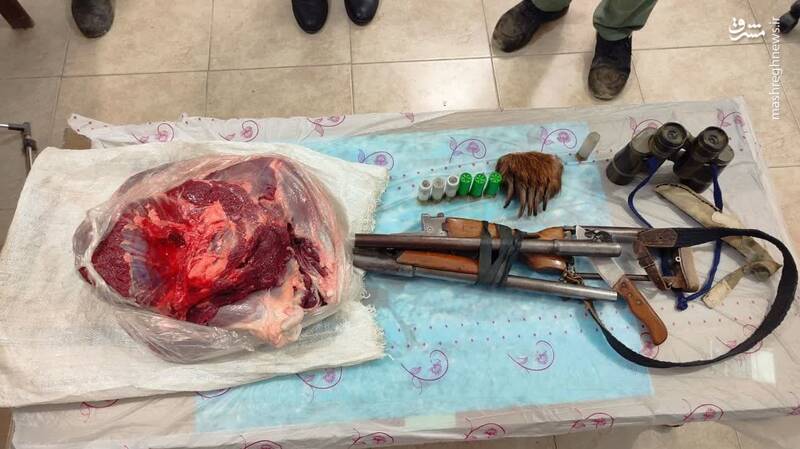 شکار خرس در منطقه شکار ممنوع سوادکوه +عکس