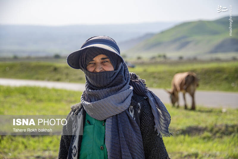 عکس/ کوچ عشایر در قاب رنگها