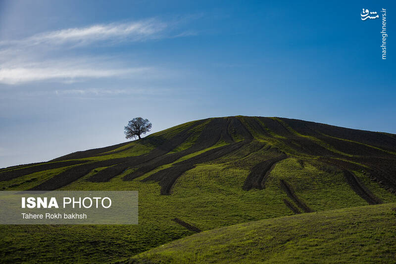 عکس/ کوچ عشایر در قاب رنگها