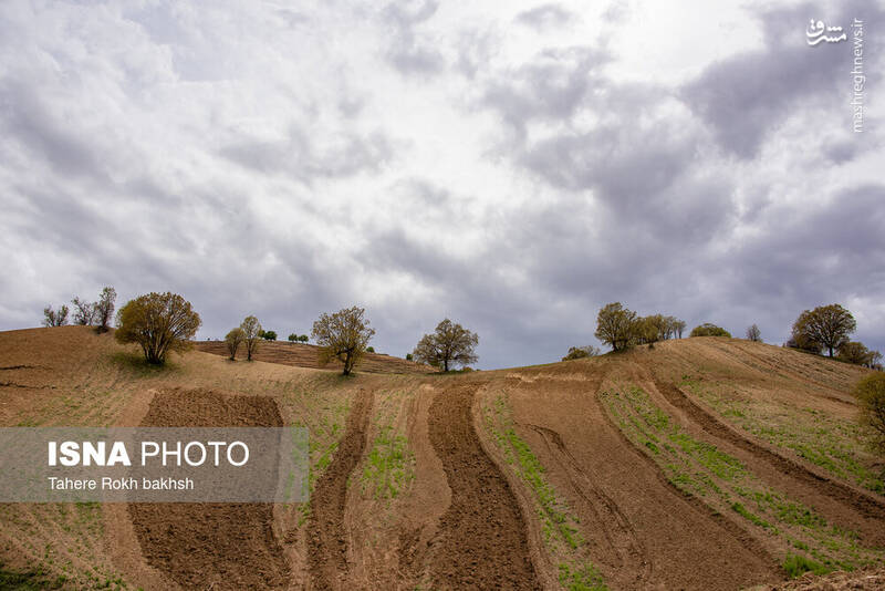 عکس/ کوچ عشایر در قاب رنگها
