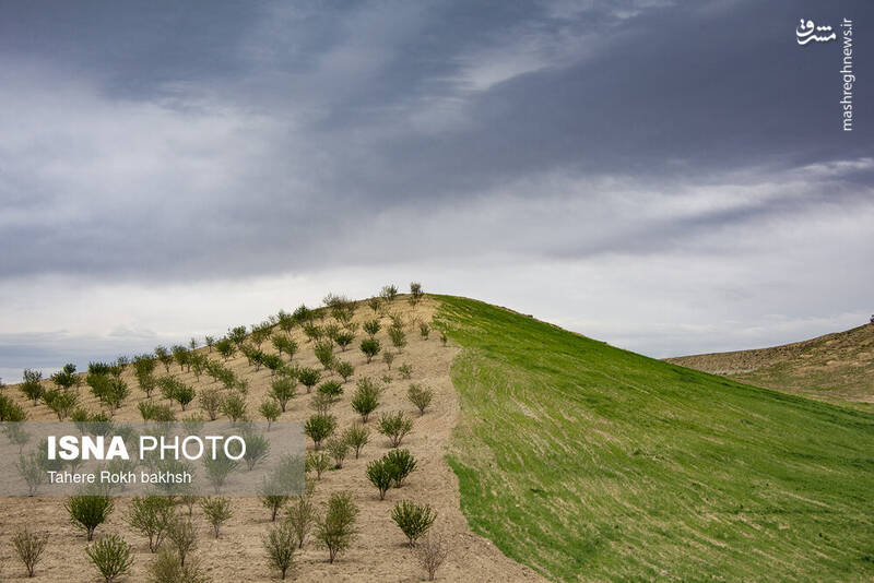 عکس/ کوچ عشایر در قاب رنگها