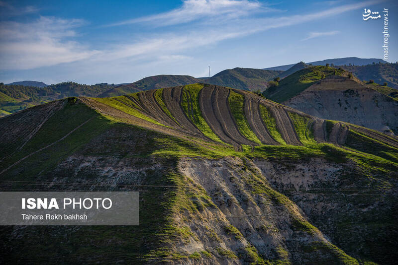 عکس/ کوچ عشایر در قاب رنگها