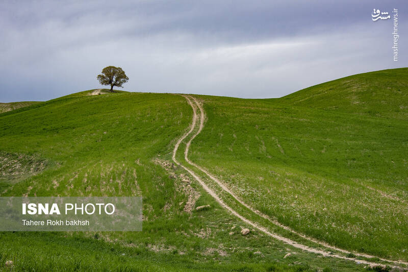 عکس/ کوچ عشایر در قاب رنگها