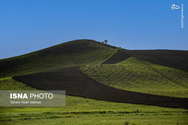 عکس/ کوچ عشایر در قاب رنگها