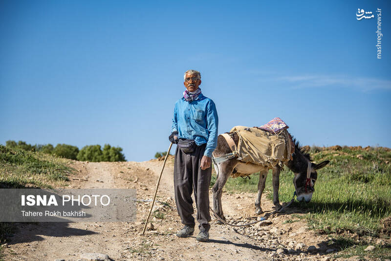 عکس/ کوچ عشایر در قاب رنگها