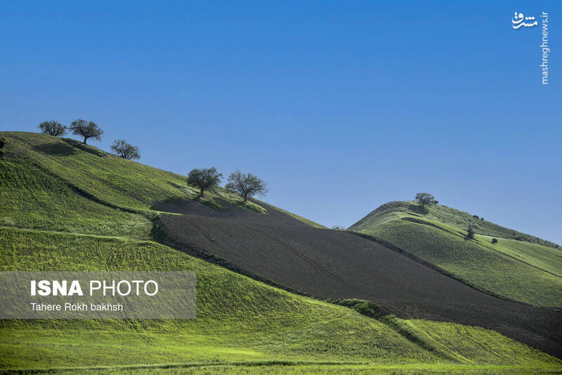 عکس/ کوچ عشایر در قاب رنگها