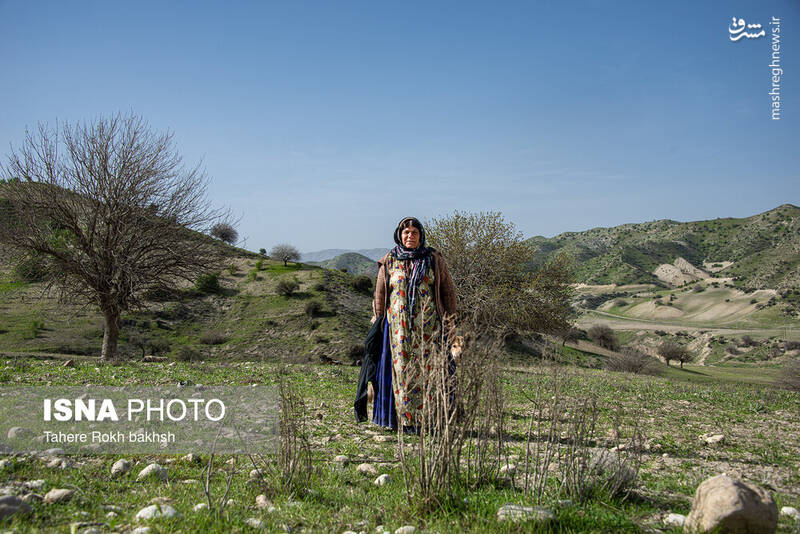عکس/ کوچ عشایر در قاب رنگها