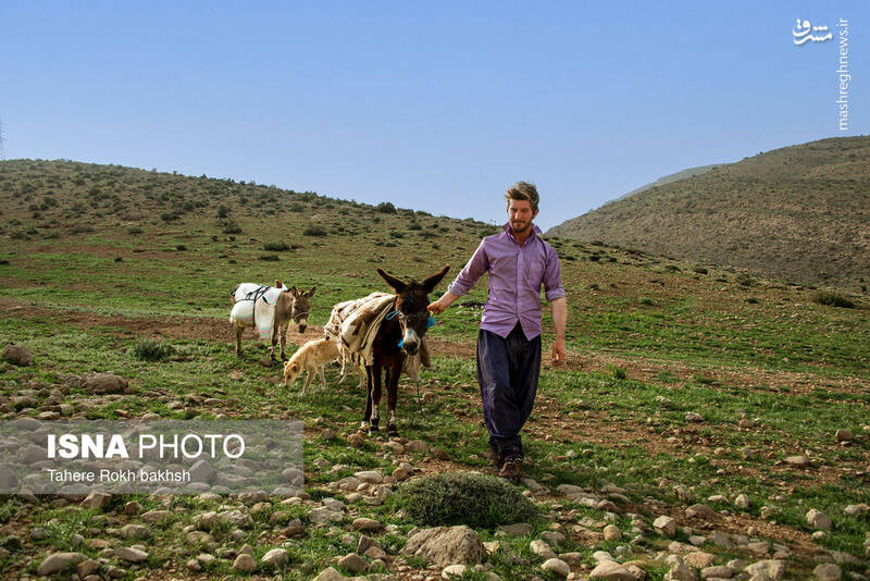 عکس/ کوچ عشایر در قاب رنگها