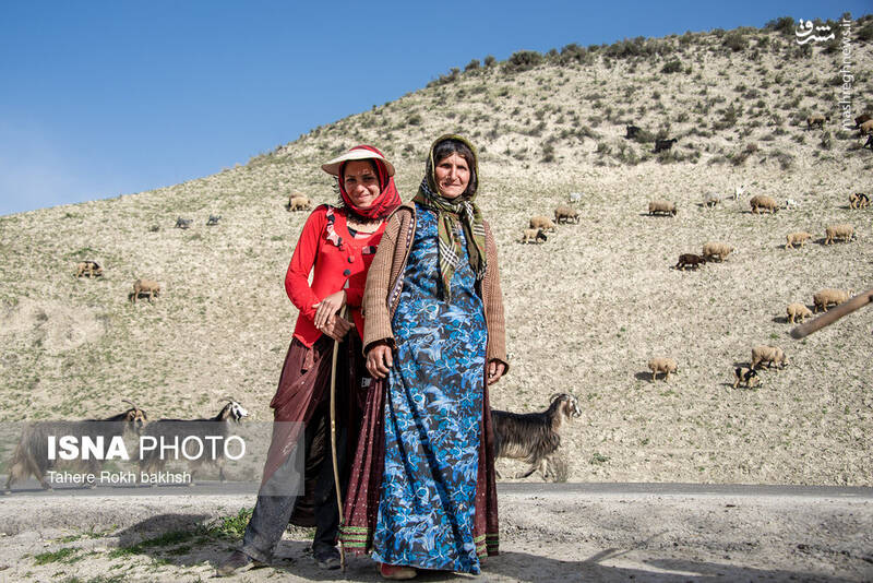 عکس/ کوچ عشایر در قاب رنگها