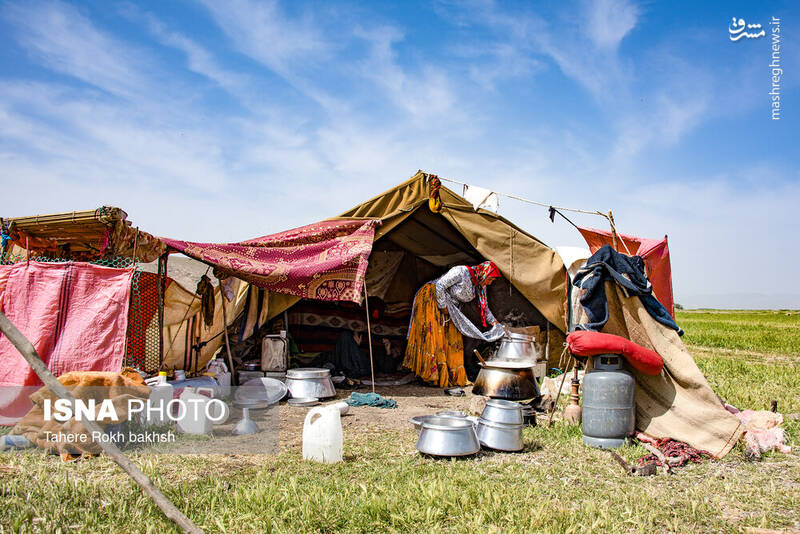 عکس/ کوچ عشایر در قاب رنگها