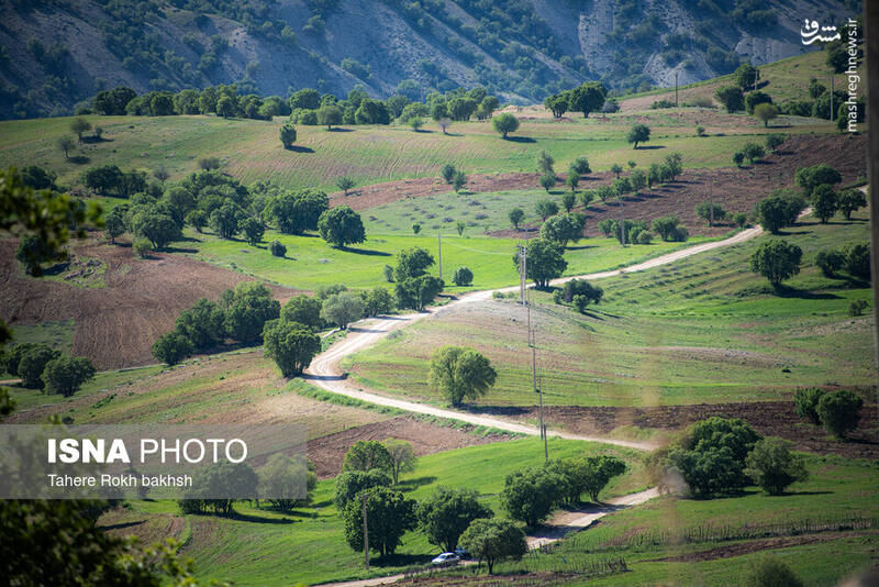 عکس/ کوچ عشایر در قاب رنگها