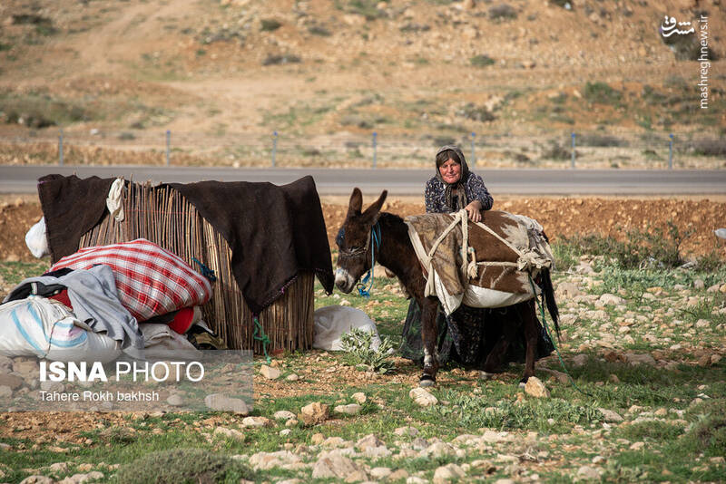 عکس/ کوچ عشایر در قاب رنگها