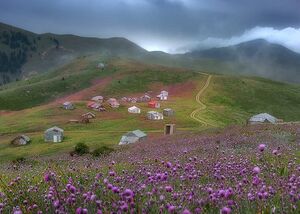 زیبایی‌های چشم نواز ییلاق سلانسر در گیلان+ عکس