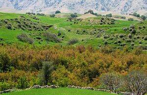 فیلم/ صدای طبیعت را از دل اندیکای خوزستان گوش کنید
