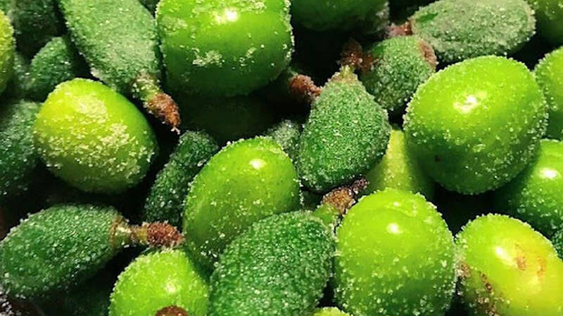 نوبرانه های بهاری؛ نوستالژی طعمهای فراموش نشدنی