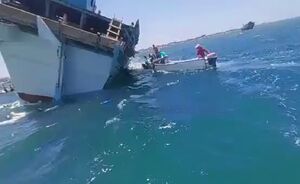 واژگونی کشتی حامل صدها گوسفند در خلیج عدن