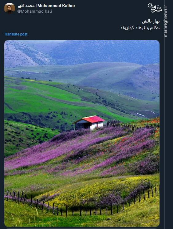 زیبایی بهار تالش به روایت تصویر