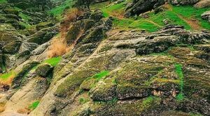 تصویری از زیبایی مخمل کوه لرستان