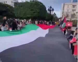 اعتراضات حامیان فلسطین در تونس+ فیلم