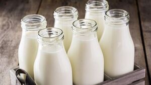  قیمت جدید شیر خام تعیین شد