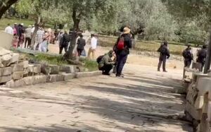 تعرض شهرک‌نشینان صهیونیست به مسجدالاقصی
