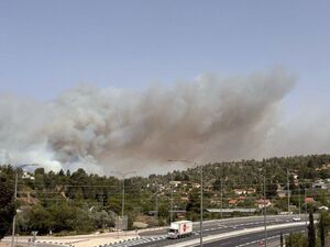 آتش‌سوزی گسترده در کوه‌های سرزمین‌های اشغالی
