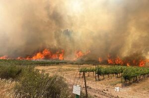 حریق گسترده در قدس اشغالی بلای جان رژیم صهیونی